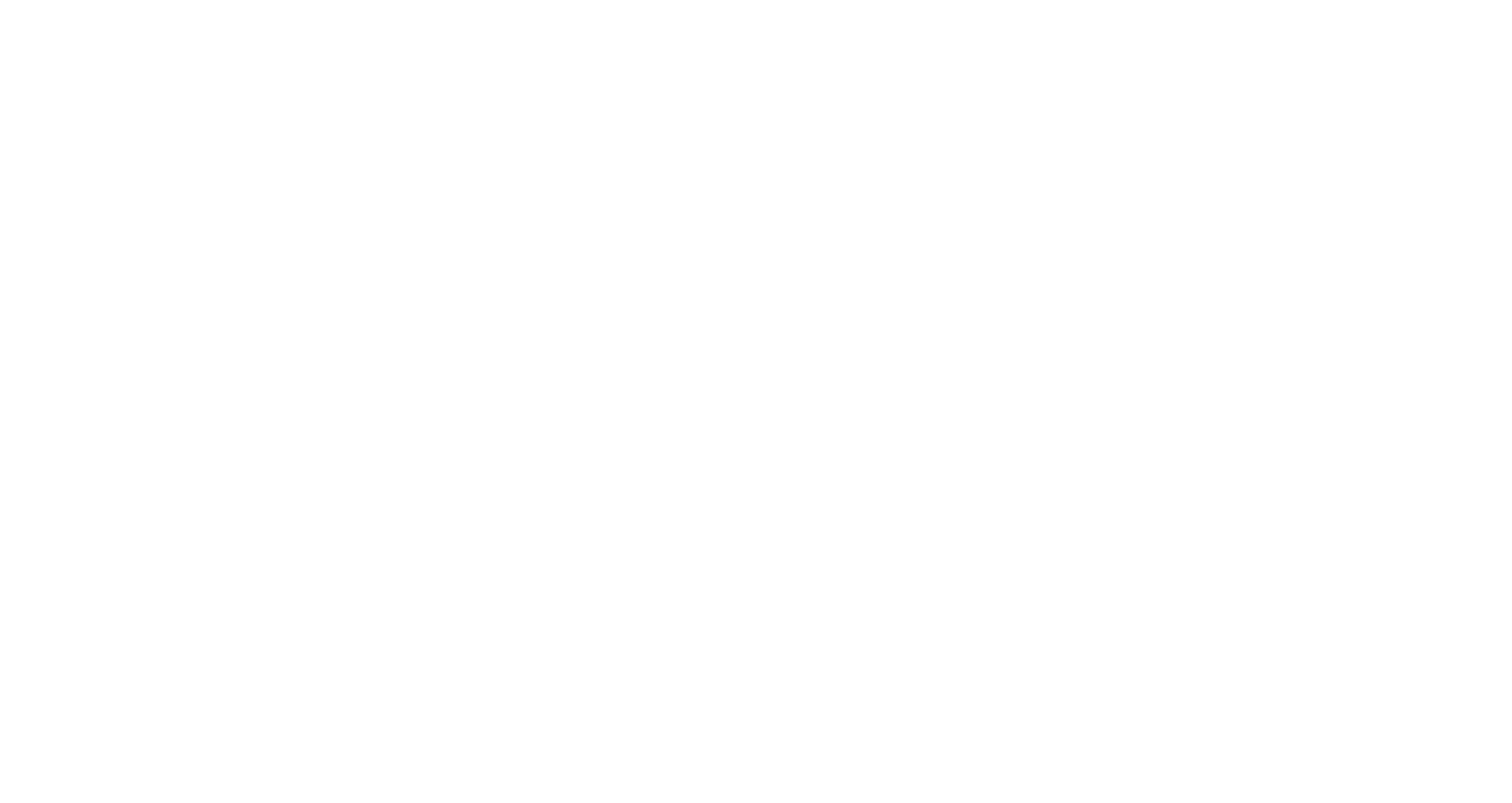 Frigg Systems - logo w wersji białej